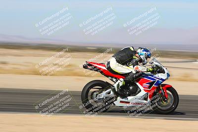 media/Jan-14-2024-SoCal Trackdays (Sun) [[2e55ec21a6]]/Back Straight Speed Pans (1145am)/